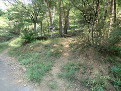 ����ɎR��