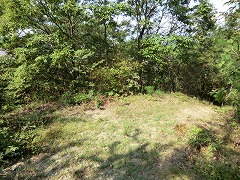 ����Ɏ��̃s�[�N