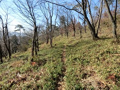 �����̓�