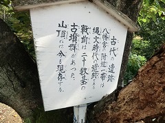 �Õ��������ē���