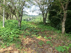 ���ߒr�֏��