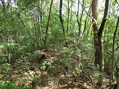 ���R�R��