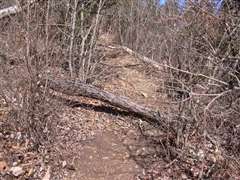 �|�؂����X��