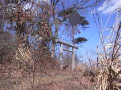 ���d�_�Љ��̉@����