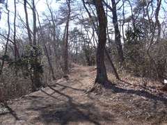 �D�P�R�n�C�L���O�R�[�X