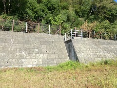 �Гa����̃R���N���t�F���X