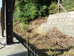 �E�̊K�i�̏�ɓo�R������