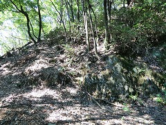 ��������o��