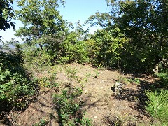 �����R�R��