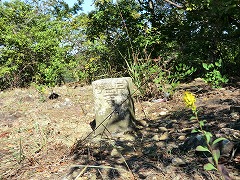 �O���O�p�_