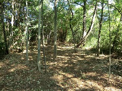 ���Ֆ��ĂȎR��