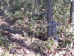 �s�����ւ̓��W