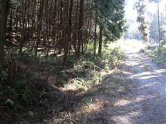 ���H���猩�����R��