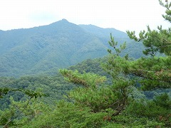 �ڎw�����R