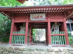 �m���̂���R��