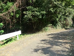 ��R�n�C�L���O�R�[�X�o�R��