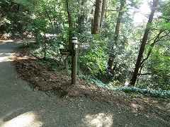 ��������V�։�������