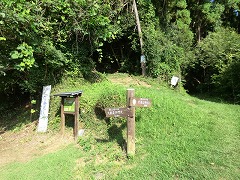 ���R�ւ̓o�R��