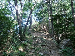 �����ȃs�[�N