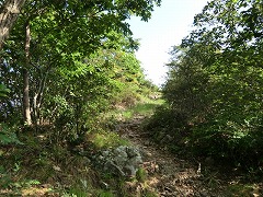 �Α��R����