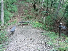 ������։���