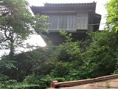 �����猩�グ�����S��