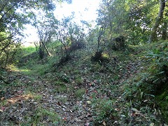 �����܂��