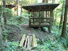 �����܂�