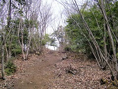 �����R�R����������