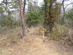 �R������k��