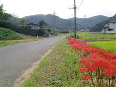 ���̕�Ɍ���