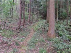 ���d�R�֌���