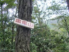 ���d�R�R����