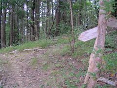 ���⓻����̓��ɍ���