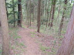 ������߂��A���⓻��