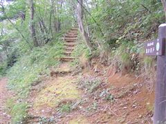 �u���̈�ˁv�ւ̓o��