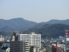 �s�X���猩�����̕�