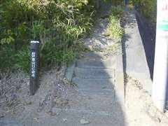 ���ːV�R���̓o�R��