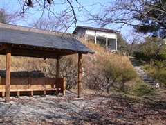 �����܂�