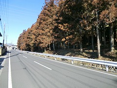 ̪ݽ�����ɕ���