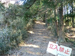 �����֎~�̗��ĎD