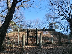 �����R�R���̎{��