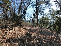 ���d�R�R��