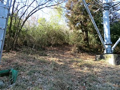 ���d�S���̉�