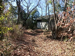 �����R���̈����_�Ђ̗���