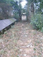 �}�ȎQ���̐Βi