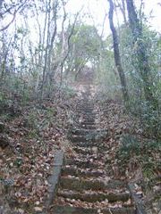 ��̒������猩���Βi