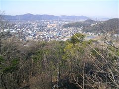 �X���݂̂��Ȃ��ɔ����q�R��