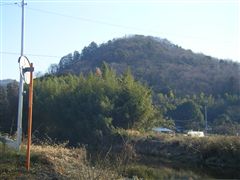 ���c�t�������猩���q�v�Q�R