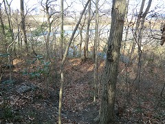 �͌���������